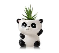 BLOSSOMLIFE Cute Animals Planter, Mini Ceramic Cartoon Animal Shaped Succulent Flower Pot Indoor Air Plants Holder, Mini Flower Vase Fun Animal Decor (Panda)