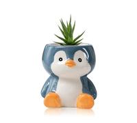 BLOSSOMLIFE Cute Animals Planter, Mini Ceramic Cartoon Animal Shaped Succulent Flower Pot Indoor Air Plants Holder, Mini Flower Vase Fun Animal Decor (Penguin)