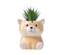 BLOSSOMLIFE Cute Animals Planter, Mini Ceramic Cartoon Animal Shaped Succulent Flower Pot Indoor Air Plants Holder, Mini Flower Vase Fun Animal Decor (Groundhog)