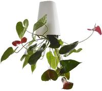 BLOSSOMLIFE Upside-Down Flower Planter Pots for Indoor Balcony Garden Home Decoration,Hanging Planter Pot Upside Down Sky Planting Pot (Small)