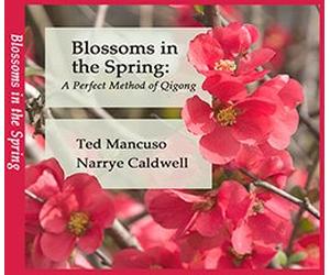 Blossoms in the Spring: A Perfect Method of Qigong DVD