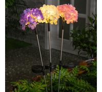 Blossoms Solar Garden Light Plant 10 Warm White LED - 74cm by Bright Garden