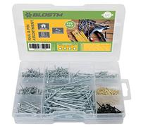 BLOSTM 975 PCS Nails and Pins with Storage Case | Assorted Short & Long Nails for Wood with Pins, Anti-Rust 100% Steel Masonry Nails & Panel Pins for Furniture, Woodwork, DIY