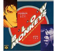 Blow Monkeys - (Celebrate) The Day After You