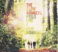 Blow Monkeys - Feels Like A New Morning
