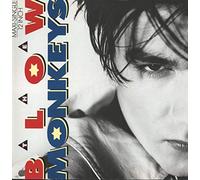 Blow Monkeys - It doesn't have to be this way (Long, 1986/87) [VINYL]