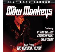 The Blow Monkeys - Live From London