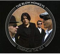 Blow Monkeys - Staring At The Sea