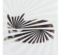 Blow;The - Poor Aim:Love Songs Reissue