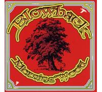 Blowback - Morningwood