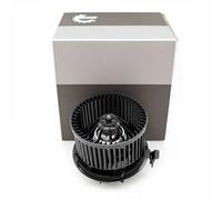 ESEN SKV 68SKV119 Interior Blower