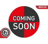ESEN SKV 68SKV161 Interior Blower