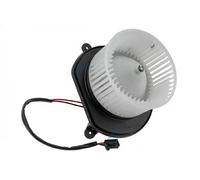 NTY EWN-CH-002 Blower motor