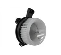 NTY EWN-HD-001 Blower motor