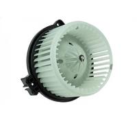 NTY EWN-SB-002 Blower motor