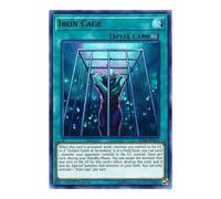 BLRR-EN012 Iron Cage