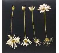 Blu & Exile - Maybe One Day EP [10" Vinyl] [VINYL]