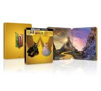 Blu-Ray 4K Uhd Wicked - Parte 2 (Steelbook) (4K Ultra Hd+Blu-Ray)