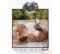 BLU-RAY - Jules Verne - The secret life of hippos (1 Blu-ray)