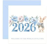 Blue 2026 Welcome To The World Little One New Baby Boy Greeting Card for Mummy Daddy Keepsake Sentimental Gifts for Parents Grandparents to Celebrate Birth of Son Grandson - Cute Bunny Rabbit