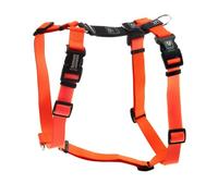 Blue-9 Buckle-Neck Balance Harness, Fully Customizable Fit No-Pull Harness, Ideal for Dog Training and Obedience, Made in The USA, Orange, Medium