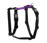 Blue-9 Buckle-Neck Balance Harness, Fully Customizable Fit No-Pull Harness, Ideal for Dog Training and Obedience, Made in The USA, Purple, Medium/Large