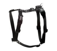 Blue-9 Buckle-Neck Balance Harness, Fully Customizable Fit No-Pull Harness, Ideal for Dog Training and Obedience, Made in The USA, Black, Medium