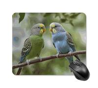 Blue and Green Parakeets Mouse Pad Square Laptop Mouse Mat Cute Computer Mousepad Keyboard Pad Non-Slip Desk Pads for Gaming Office Work Home 25 * 30cm