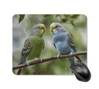 Blue and Green Parakeets Mouse Pad Square Laptop Mouse Mat Cute Computer Mousepad Keyboard Pad Non-Slip Desk Pads for Gaming Office Work Home 20 * 25cm