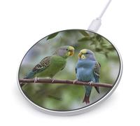 Blue and Green Parakeets Wireless Charger with USB Cable Qi-Certified 10W Fast Wireless Charging Pad Portable Charging Station Anti-Slip Slim Charger Mat for All Qi-Enabled Phones