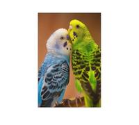 Blue-and-white and yellow-green budgerigar on a branch against a blurred background，Jigsaw Puzzles 1000 Piece for teenagers Family Game for and with Fully Interlocking Randomly Shaped Pieces-AR19