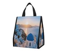 Blue And White Buildings And Sea Views Insulated Lunch Bag Box, 12L Capacity with Dual Side Pockets, Foldable Cooler Tote, Leakproof Lunch Cooler Bag, Reusable Picnic Tote Bags for Work Travel Office