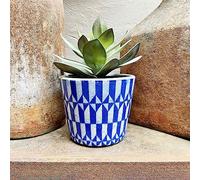 Blue and White Dutch Pot Harlequin - Geometric Planter - Crackle Glaze - Orchid Pot - Ceramic Planter - Succulent Planter - Indoor House 12cm Plant Pot