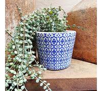 Blue and White Dutch Pot Passion - Geometric Planter - Crackle Glaze - Orchid Pot - Ceramic Planter - Succulent Planter - Indoor House 12cm Plant Pot