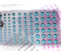 Blue Aqua Self Adhesive Acrylic Rhinestones 3 Sizes 4mm 6mm 8mm Plastic Face Gems Stick On Body Jewels Hair Crystals for DIY Cards and Invitations Crafts Bling Sticker - 5 Sheets - 480PCS