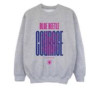 Blue Beetle Boy's Courage Sweatshirt in Grey | Size: 3-4 Years Blue Beetle Grey 3-4 Years