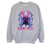 Blue Beetle Girl's Sweatshirt in Grey | Size: 3-4 Years Blue Beetle Grey 3-4 Years