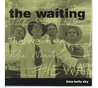Blue Belly Sky by The Waiting (1998-05-04)