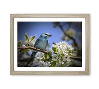 Blue Bird and Cherry Blossom Tree Modern Framed Print | A4 Oak Framed Wall Art | Ready to Hang | Modern Floral Picture | Living Room Bedroom Lounge Office