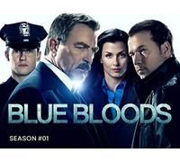 Blue Bloods - Season 1