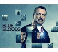 Blue Bloods Season 11