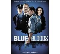 Blue Bloods: First Season [DVD] [Region 1] [US Import] [NTSC]