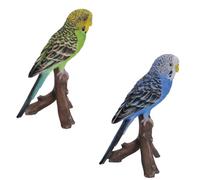 Blue Budgerigar