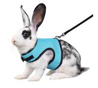 Blue Bunny Harness and Leash, Escape Proof Rabbit Harness and Leash Set, Cute Bunnies Vest Clothes Stuff Accessories - Suit for 2-3months Young Rabbit, 2-4months Ferret, 3-5months Guinea Pig, M