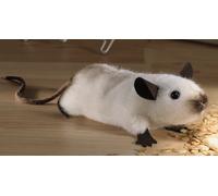 Blue Burmese Mouse by Kosen / Kösen - exquisite collectable soft toy - 7440