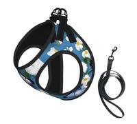 Blue Butterflies White Flowers Print Dog Harness Leash Set Reflective Pet Harness Puppy Vest Suitable Dogs Cats Small Breeds