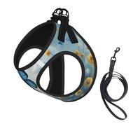 Blue Butterfly and Clouds Print Dog Harness with Leash Set with Thickened Padded Vest for Extra-Small/Small Medium Dogs