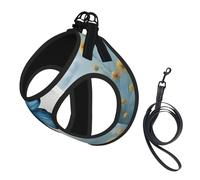 Blue Butterfly And Clouds Print Pet Leash Vest,For Small Dogs,Adjustable And Comfortable Cat Puppy Essentials