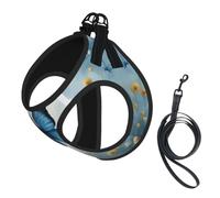 Blue Butterfly and Clouds Print Step in Dog Harness and Leash Set,Adjustable Reflective Harness for Small Dogs Cats