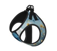 Blue Butterfly and Clouds Print Step in Dog Harness and Leash Set,Adjustable Reflective Harness for Small Dogs Cats